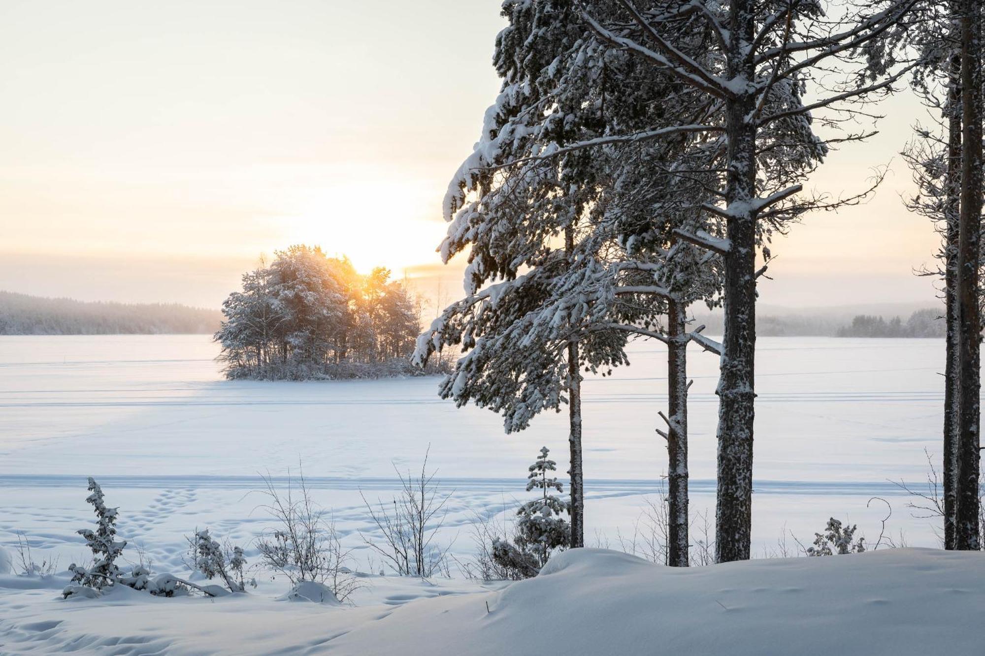Lapland Arctic Cabins Kemijärvi Екстериор снимка