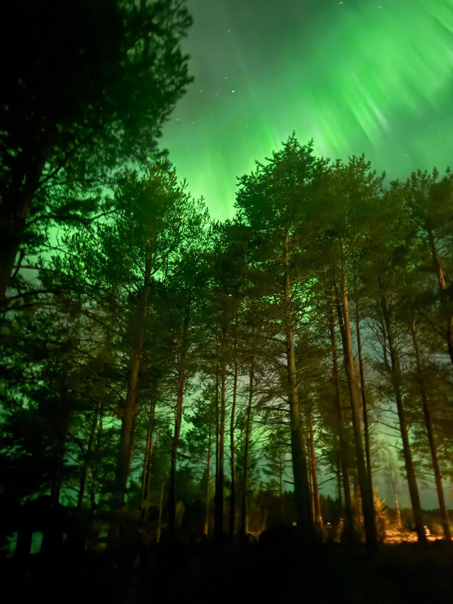 Lapland Arctic Cabins Kemijärvi Екстериор снимка